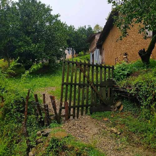 با صدای زن بهار آوی با گل گندم مو تهنا با درد دل مندم